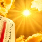 Cuidando da saúde no verão: dicas práticas para o calor