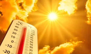 Cuidando da saúde no verão: dicas práticas para o calor