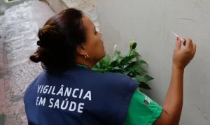 Casos de dengue em 2024 passam de 6,4 milhões; mortes somam 5,9 mil