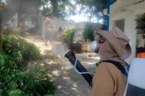 Intensificação do combate ao Aedes aegypti: verão e chuvas aumentam riscos de contágio