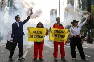 Queda no desmatamento e política contraditória: confira o balanço da agenda climática em 2024