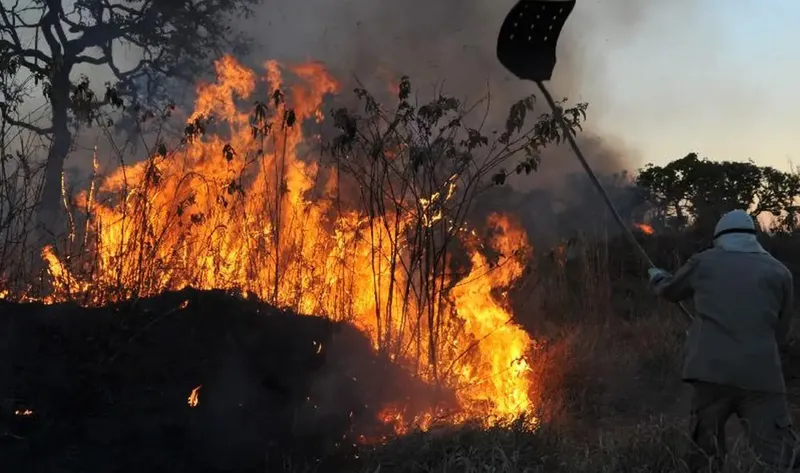 Incêndios em terras públicas na Amazônia aumentam 64% em 2024