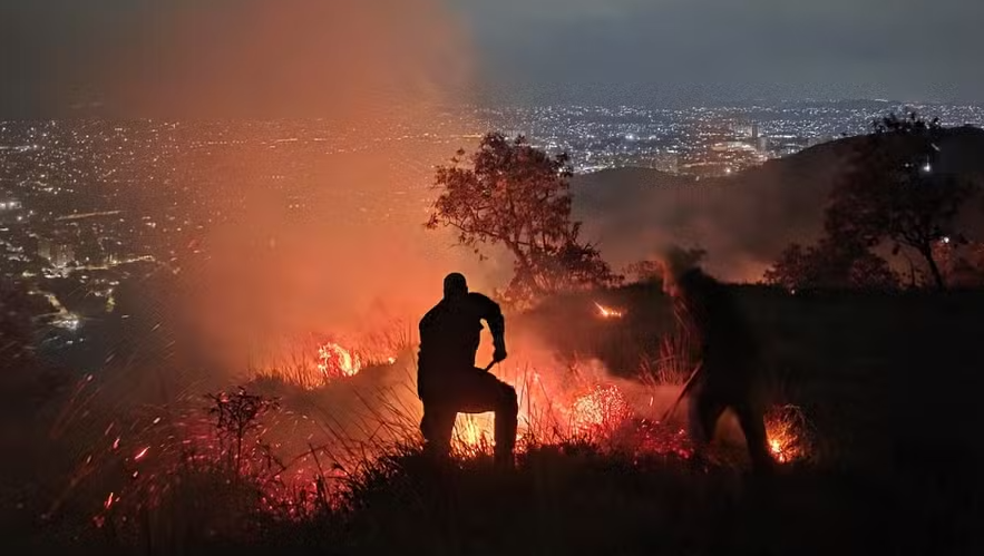 Captura de tela 2025-11-12 204250
