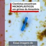 WhatsApp Image 2026-07-14 at 18.13.28