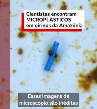 NEM A NATUREZA ESCAPA: NOVA ESPÉCIE BRASILEIRA JÁ NASCE AMEAÇADA E MICROPLÁSTICOS CHEGAM AOS GIRINOS DA AMAZÔNIA