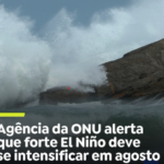 sdfsdfs